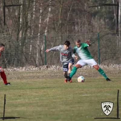 15.03.2025 SV Friedersdorf vs. SV Golpa