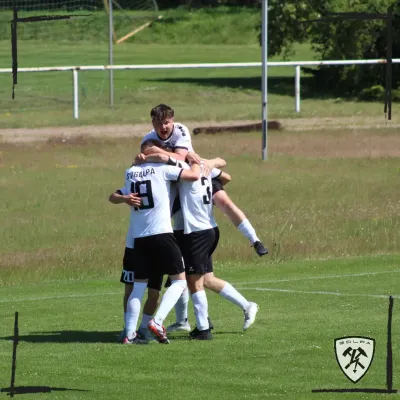 14.06.2025 SV Golpa vs. Dessauer SV 97
