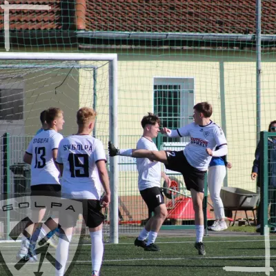 04.04.2026 Dessauer SV 97 vs. SV Golpa