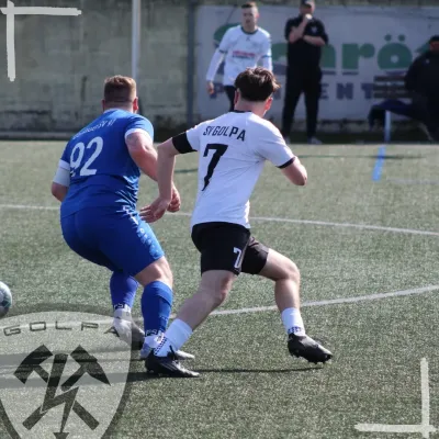 04.04.2026 Dessauer SV 97 vs. SV Golpa